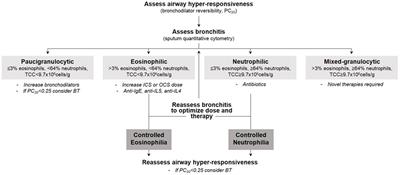 Asthma Endotypes and an Overview of Targeted Therapy for Asthma